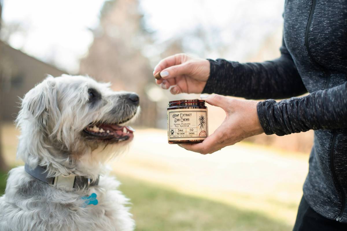 Dog with healthy stool next to chart tracking Digestive Support Success Metrics